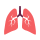 Lungs